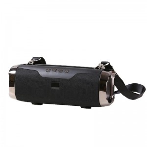 Altoparlante Bluetooth portatile FB-BSE22