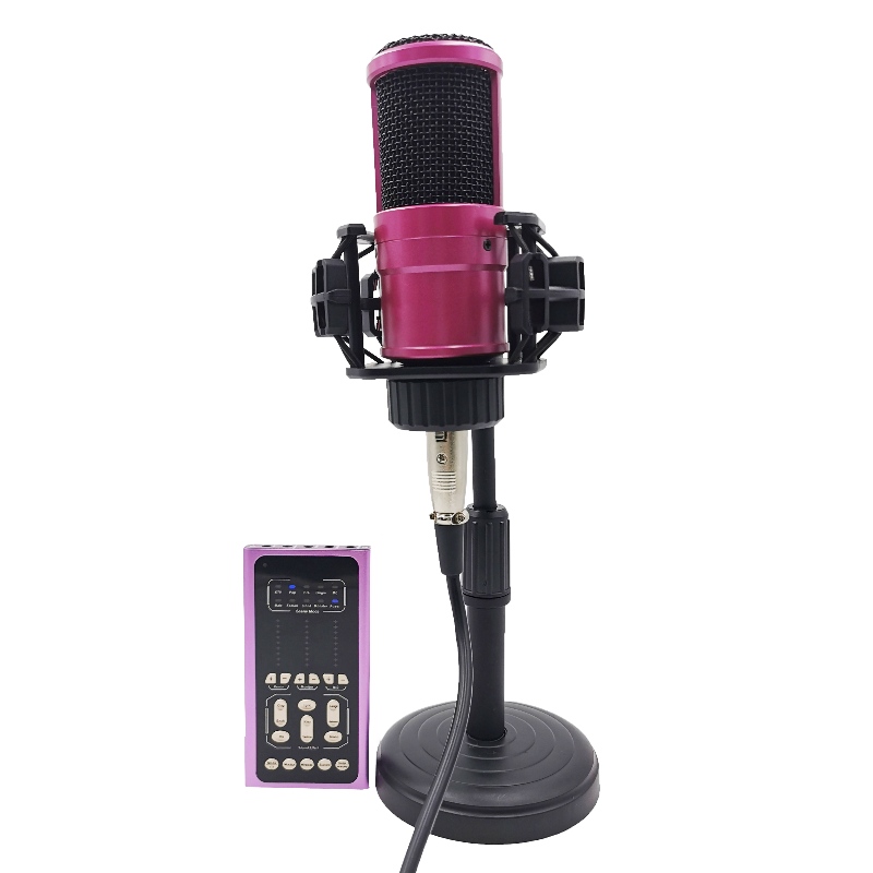 FB-LSC500 Super Slim Dimensioni Voice Multifunctional Voice Changer Voice Sound Scheda e Microfono Set